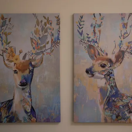 Lapillus Couette-café