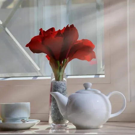 Lapillus Couette-café Pompéi